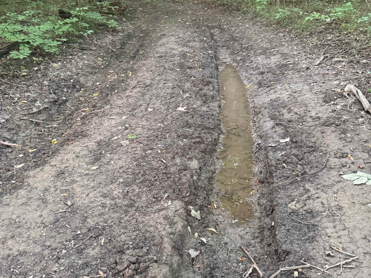 W 8 Trail photo 6