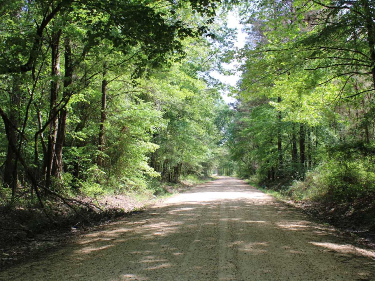 The Arkansas Overland Route - TrailHawk Loop - Section 21 - Haus SP photo 6