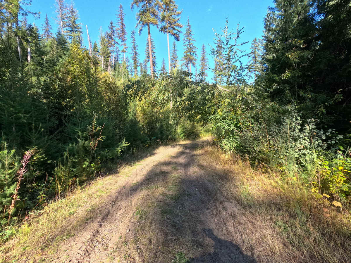 Klahowya Creek F - FS 1075F photo 5