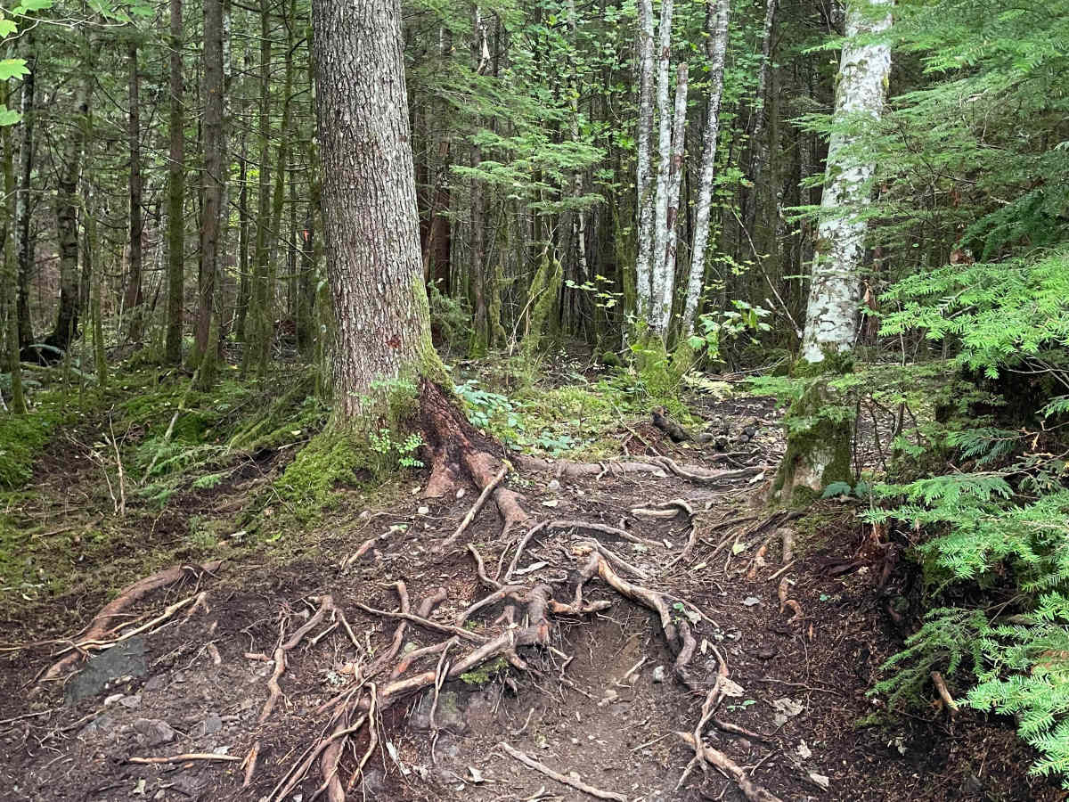 Dragon's Lair trail photo