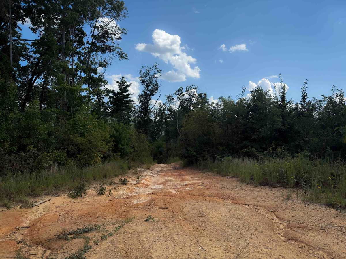 Brashy Fork Ridge Trail photo 3