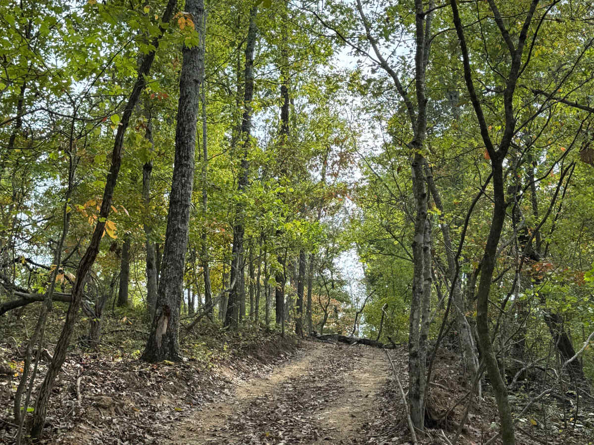 West Ridge South trail photo