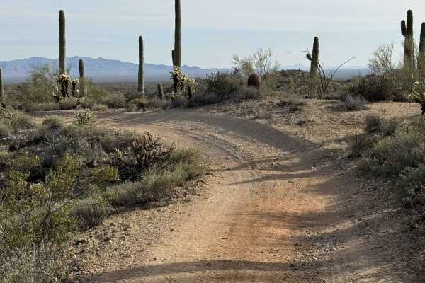 Trail 32022