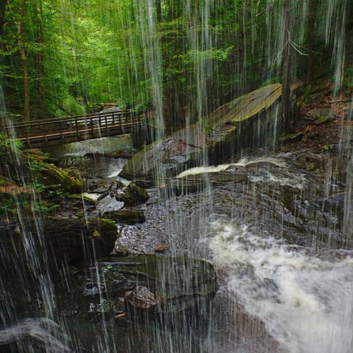 A view from the small crevice behind B. Reynolds Falls in Rickets Glen State Park, Pennsylvania. Near Falls Trail