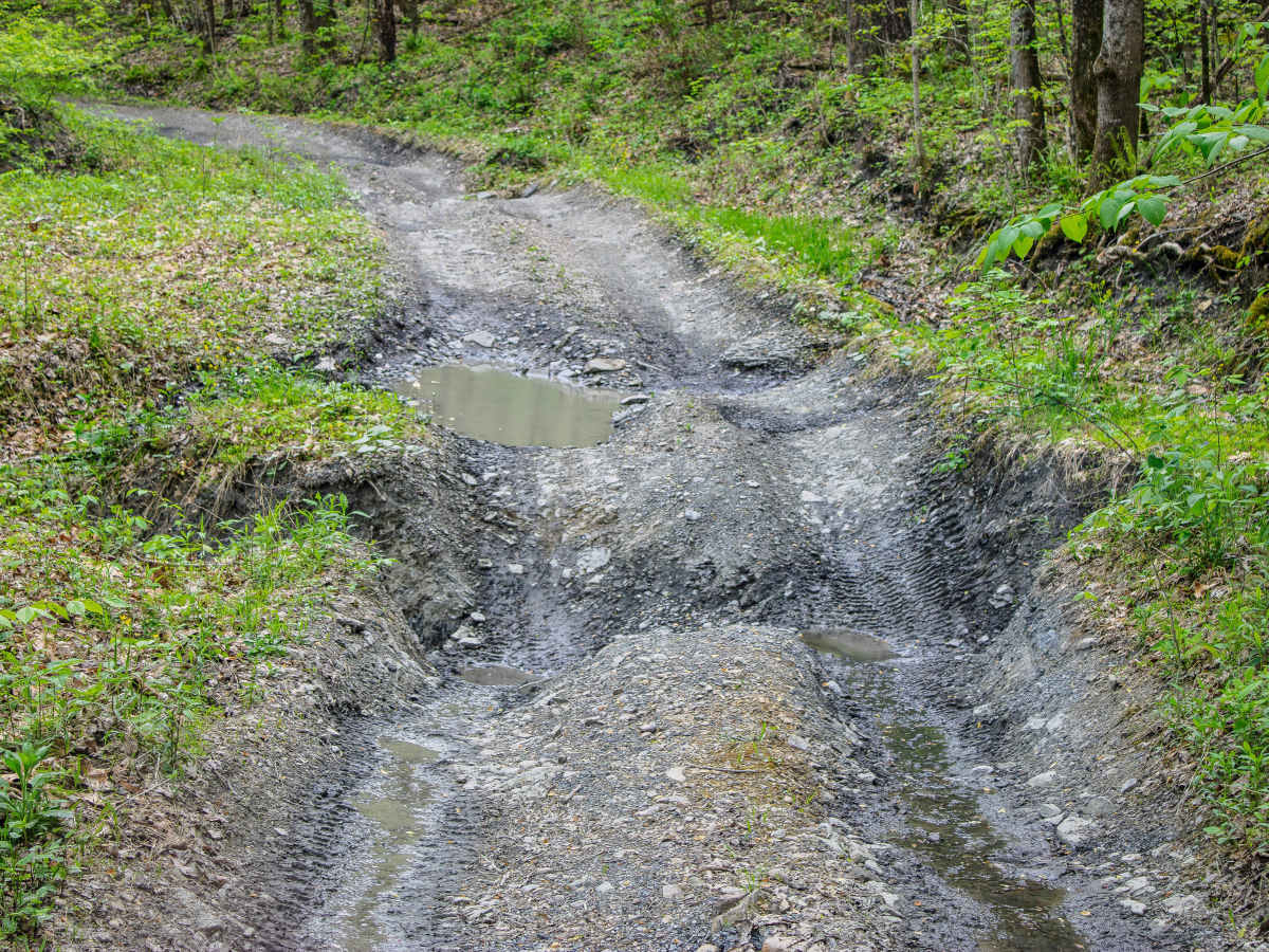 S8 Trail photo 6