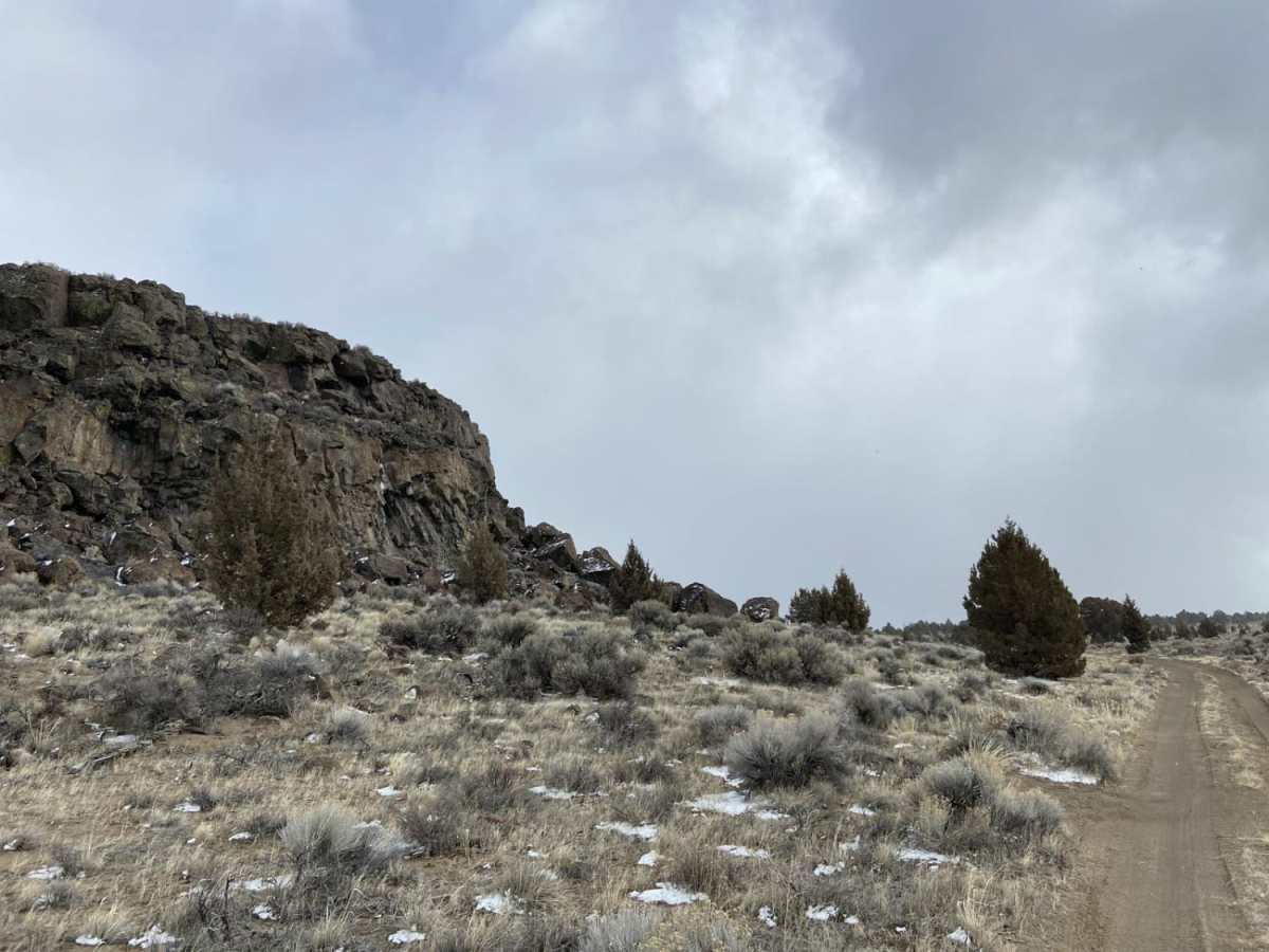 Reed Rock photo 4