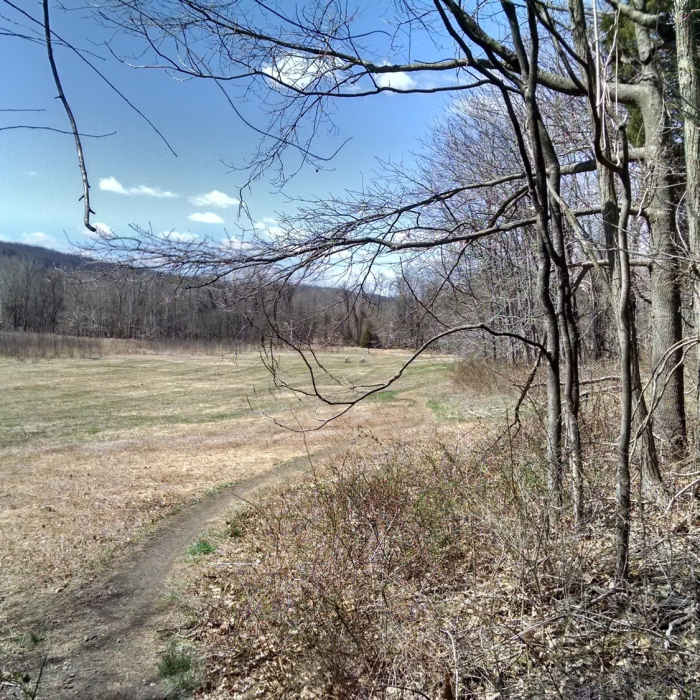 Nice singletrack at Valley Forge. Near Commissary Trail