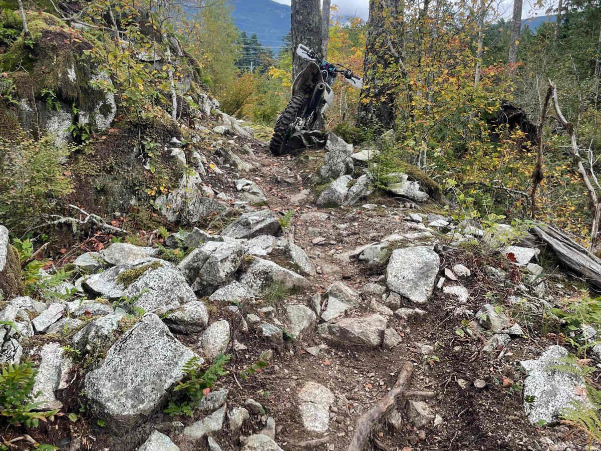 Wolf Trail photo 2