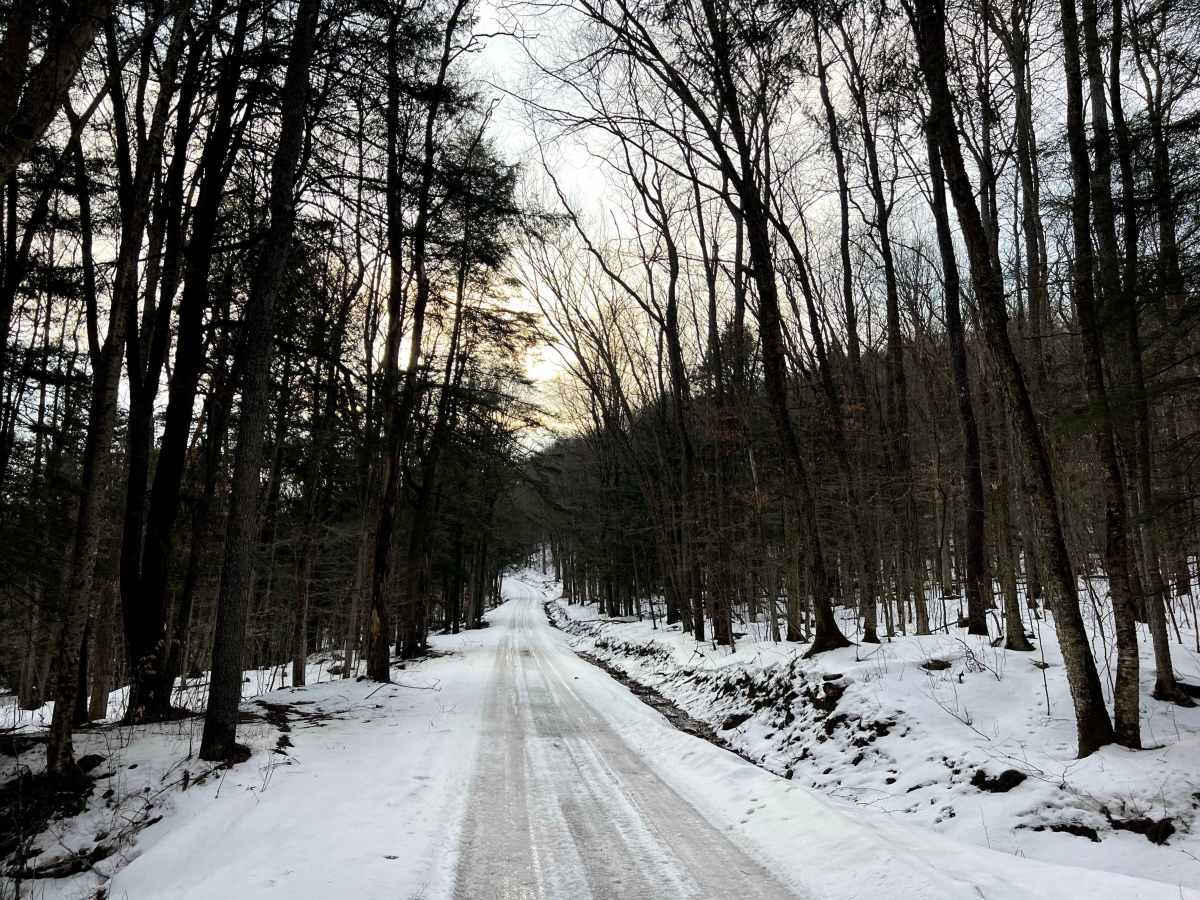 Meade Run trail photo
