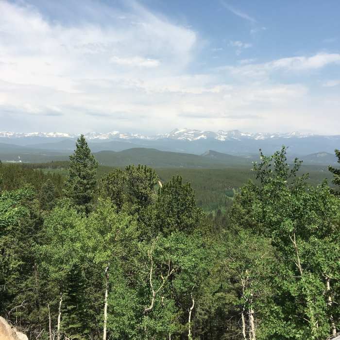 Near Racoon Trail