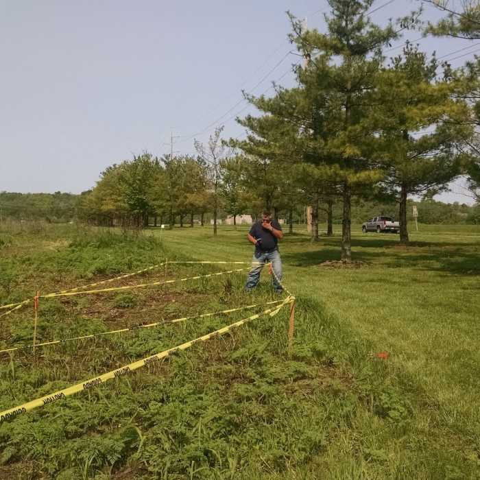 Near North Riverside Natural Area Loop