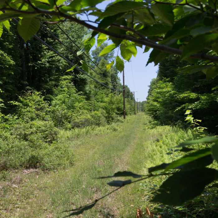 Near Fourth Run, Stage and Park Road Loop Near Fourth Run, Stage and Park Road Loop