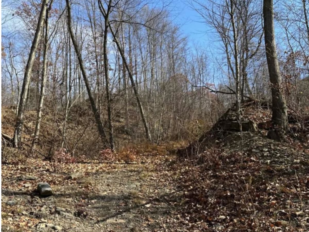 Ashland 158 photo 3