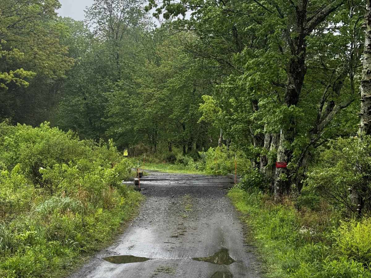 Charles Farnum Road photo 5
