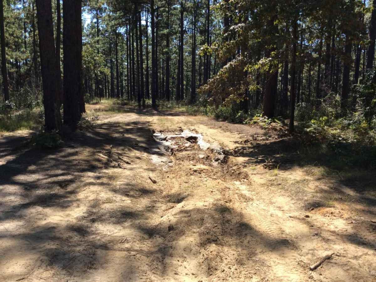 Eastern Evangeline District Trail photo 4