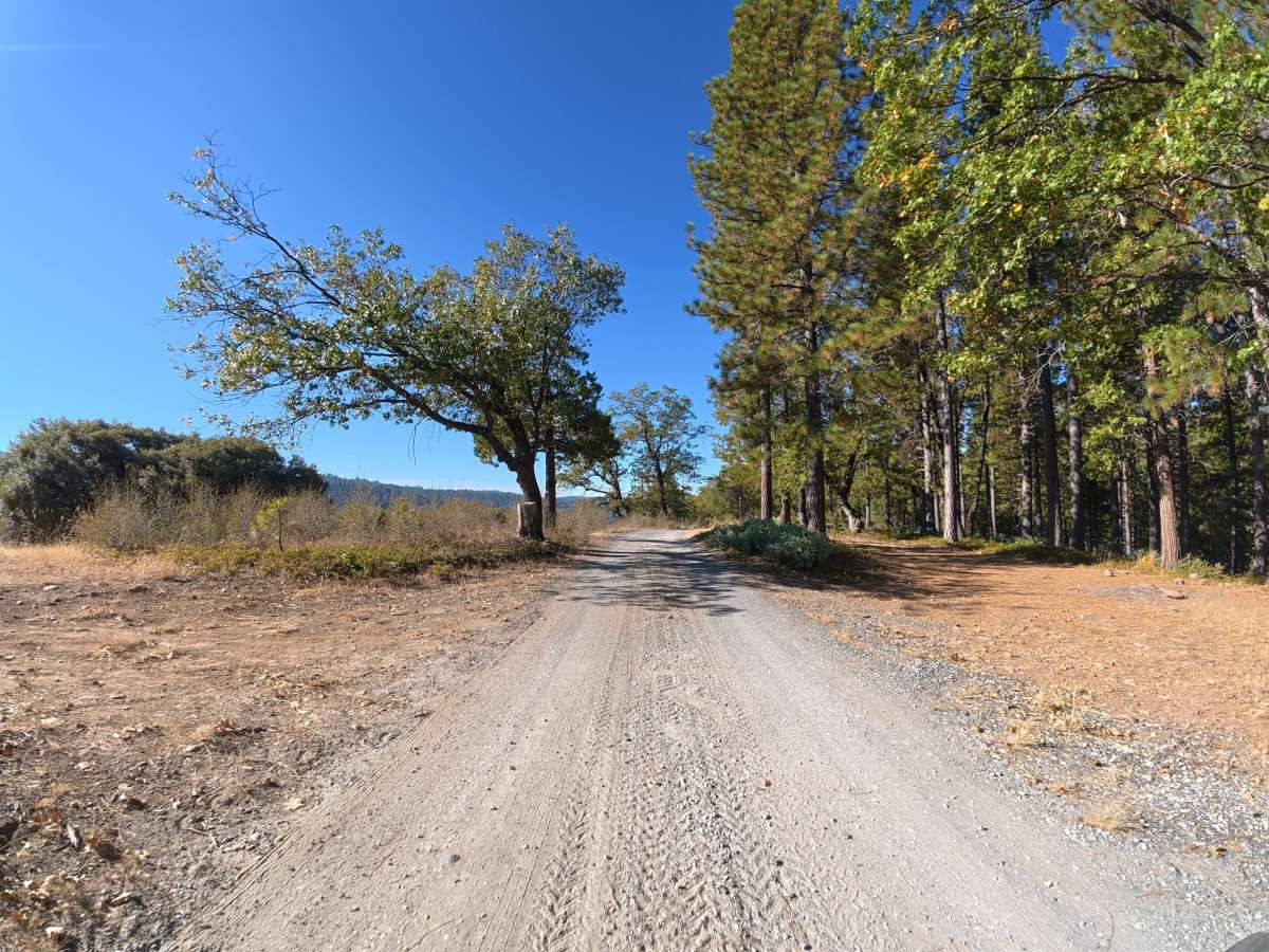 Strawberry OHV 4x4 photo 4