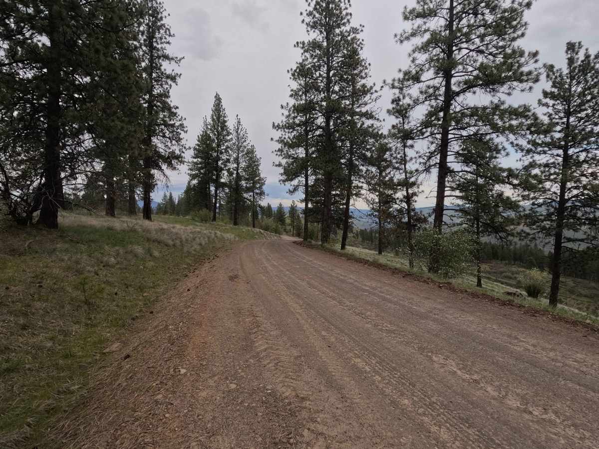 Eden Lane - FS 6212 photo 3