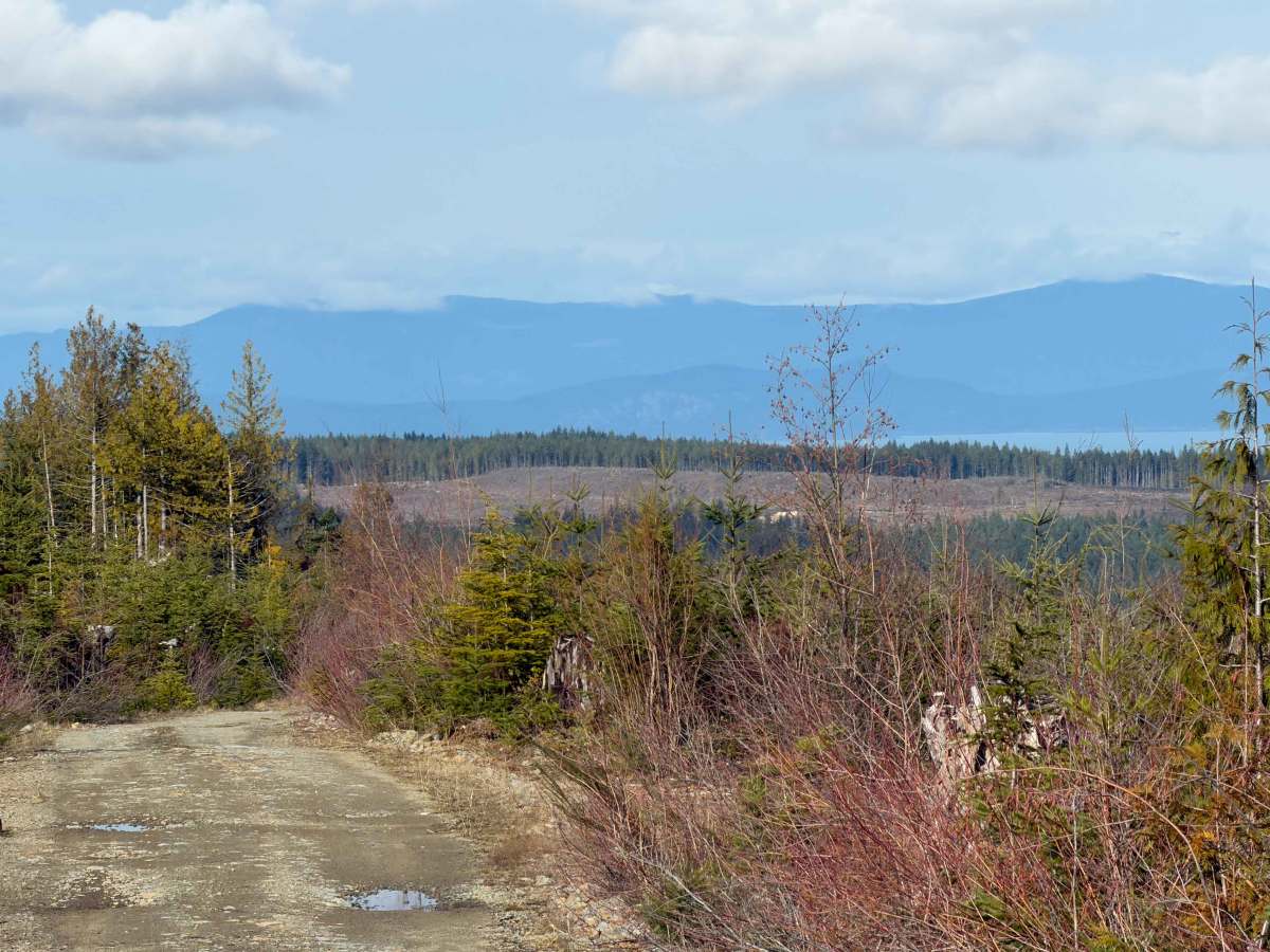 Merrill Lake photo 2