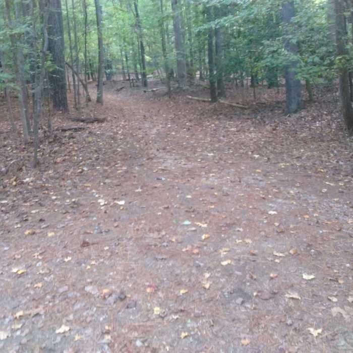 Near Durant Nature Park Loop