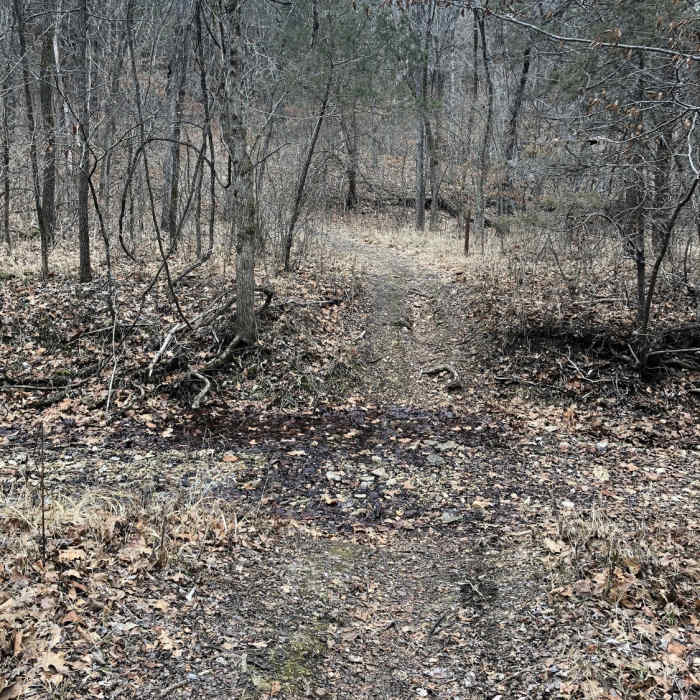 One of several harmless creek crossings on the trail. Near Young Conservation Area