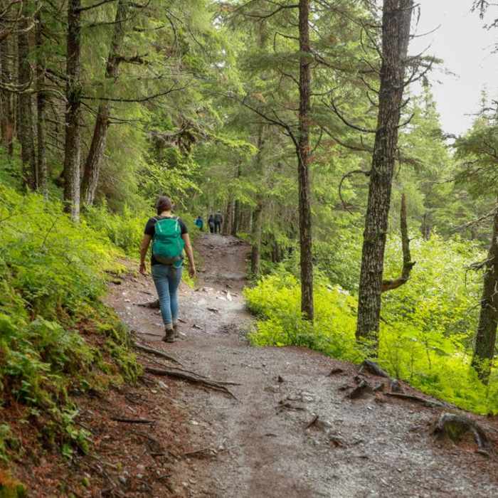 Near Winner Creek Trail