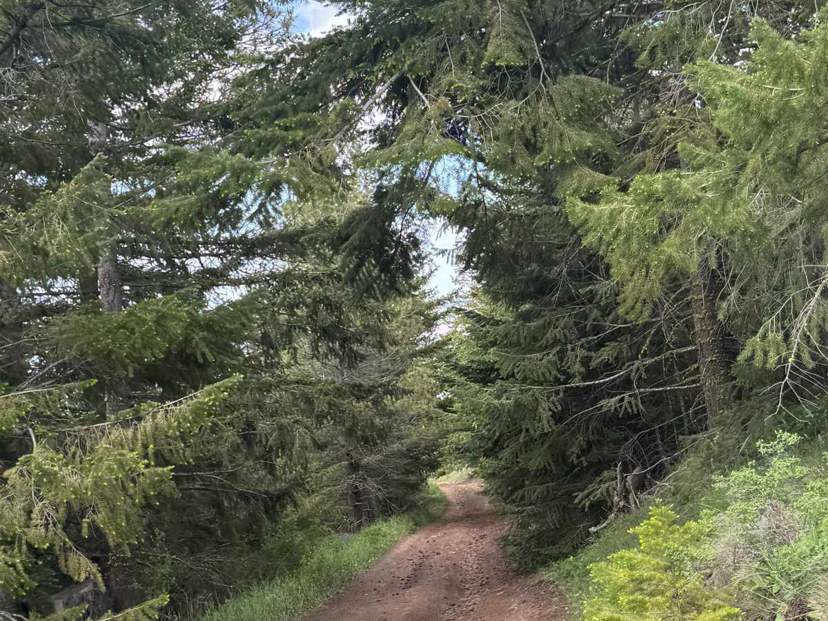 Lookout Road photo 5