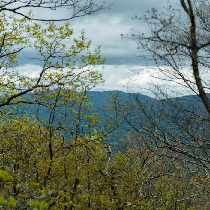 Near Bearwallow Mountain