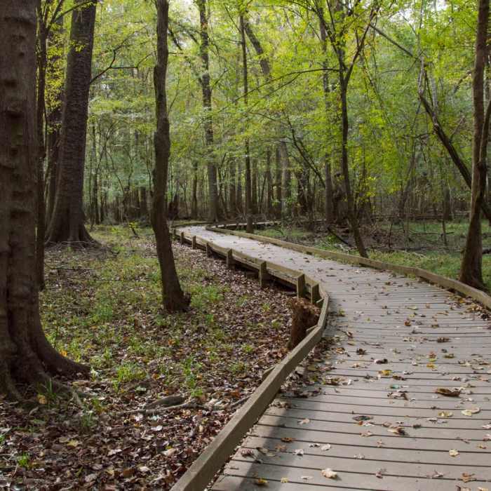 Near Weston Lake Loop Near Weston Lake Loop