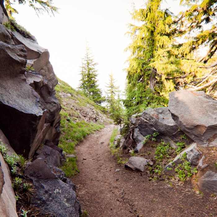 Near Discovery Point Trail