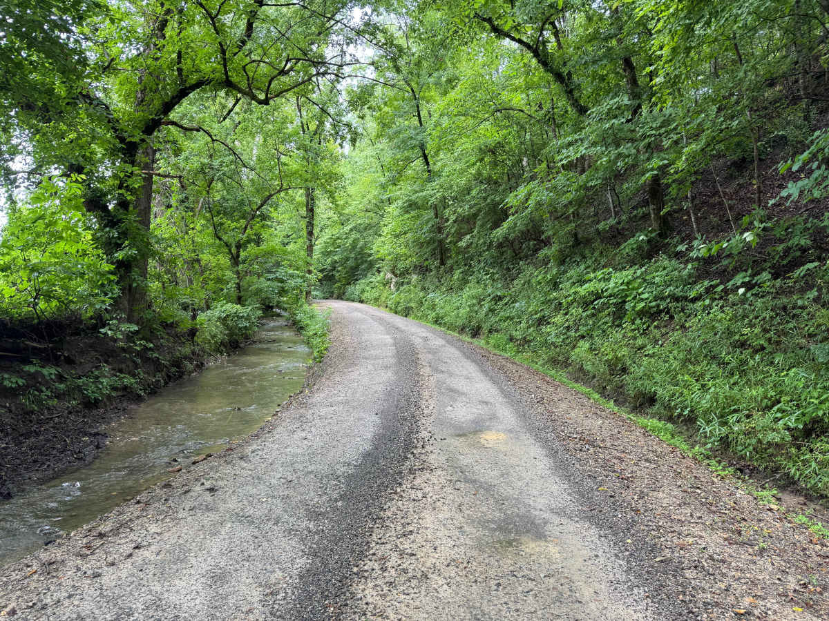 Gaston Road photo 2