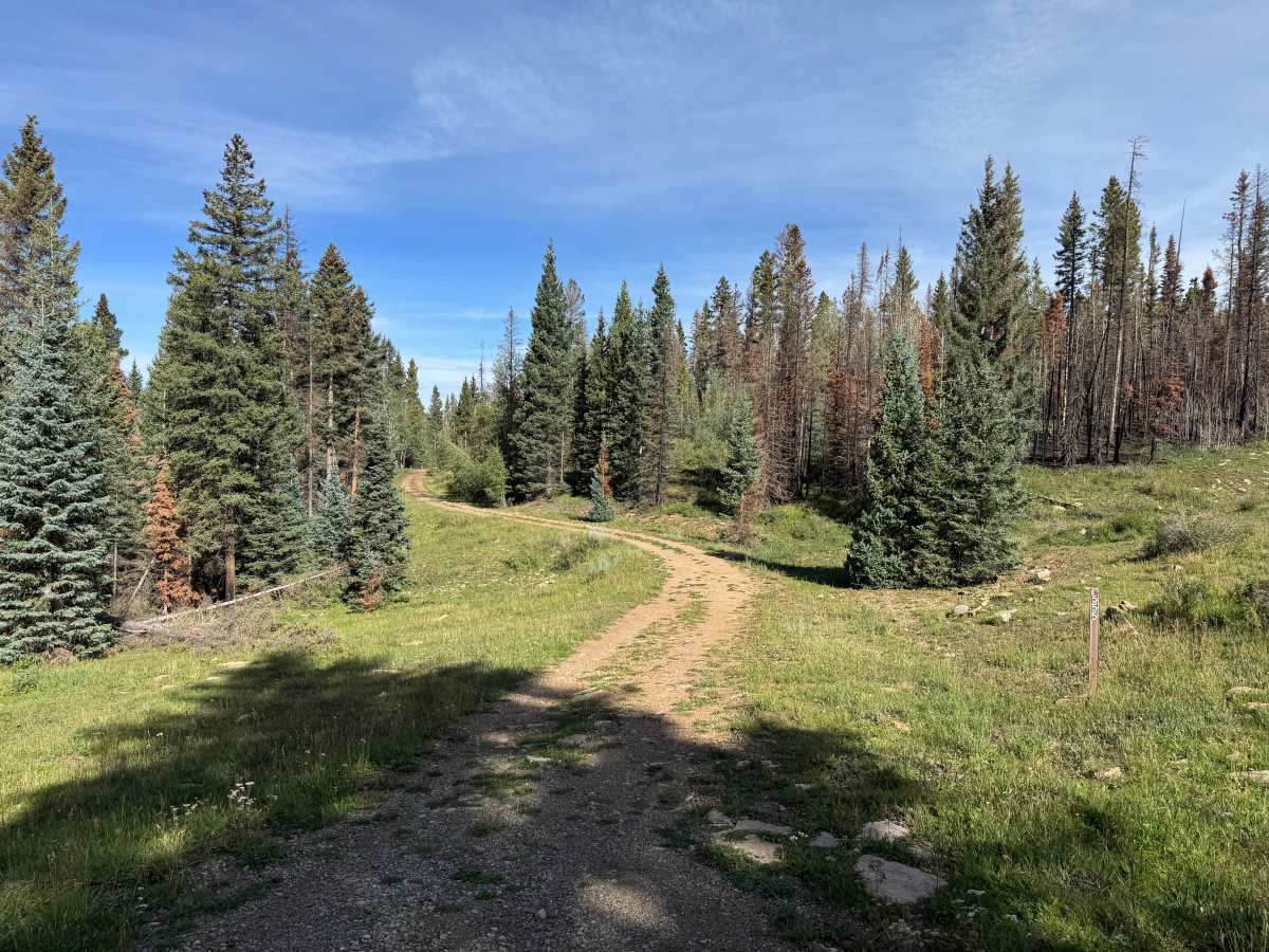 Hell Canyon Road trail photo