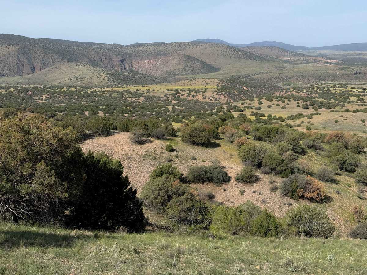 951  trail photo