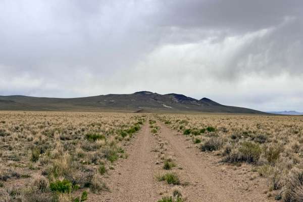 Saulsbury Cutover