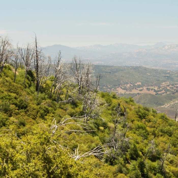 Near Silvercrest Trail