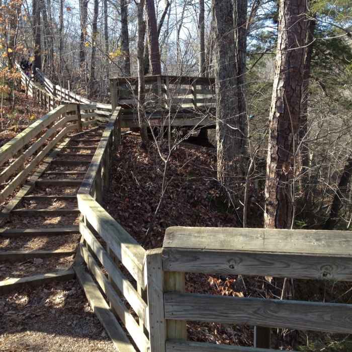 Near Swift Creek Greenway