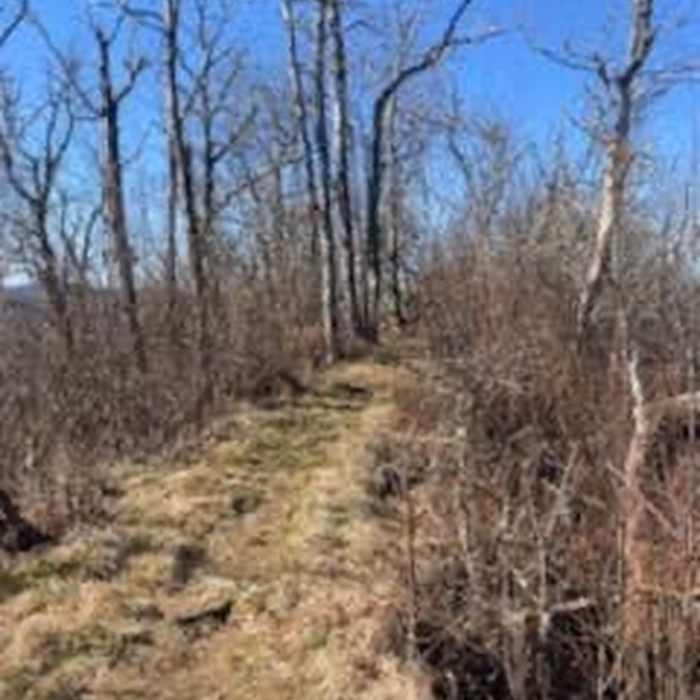 Topside. Between Tellico Gap and NOC. Great views once you get here and flat for a bit. Near AT: Winding Stair Gap to Nantahala Outdoor Center (NOC)