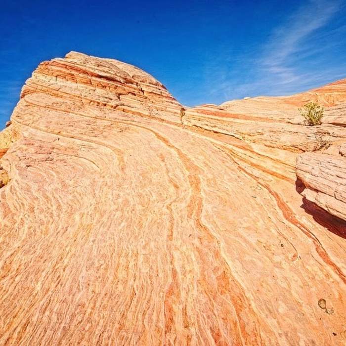 Near Fire Wave Trail