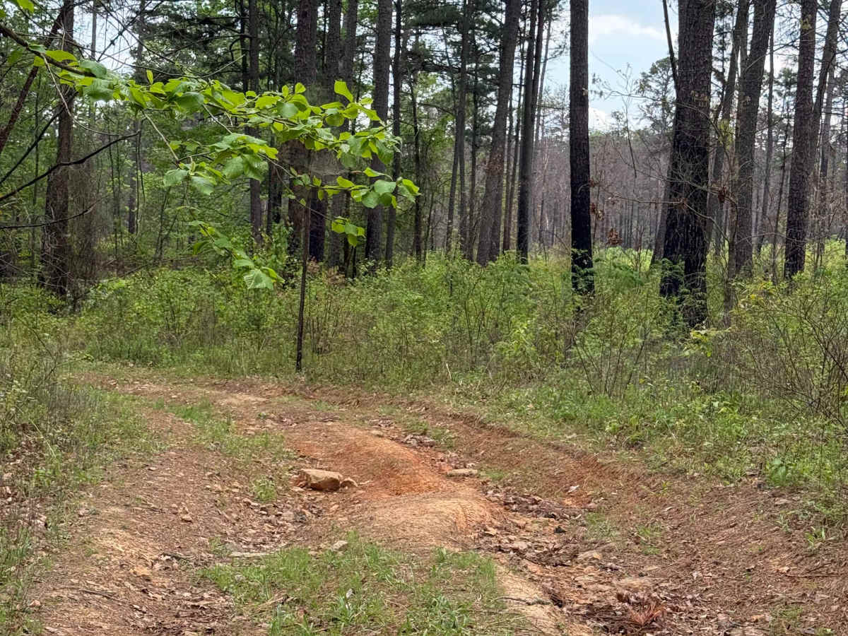 Shortcut Central photo 4
