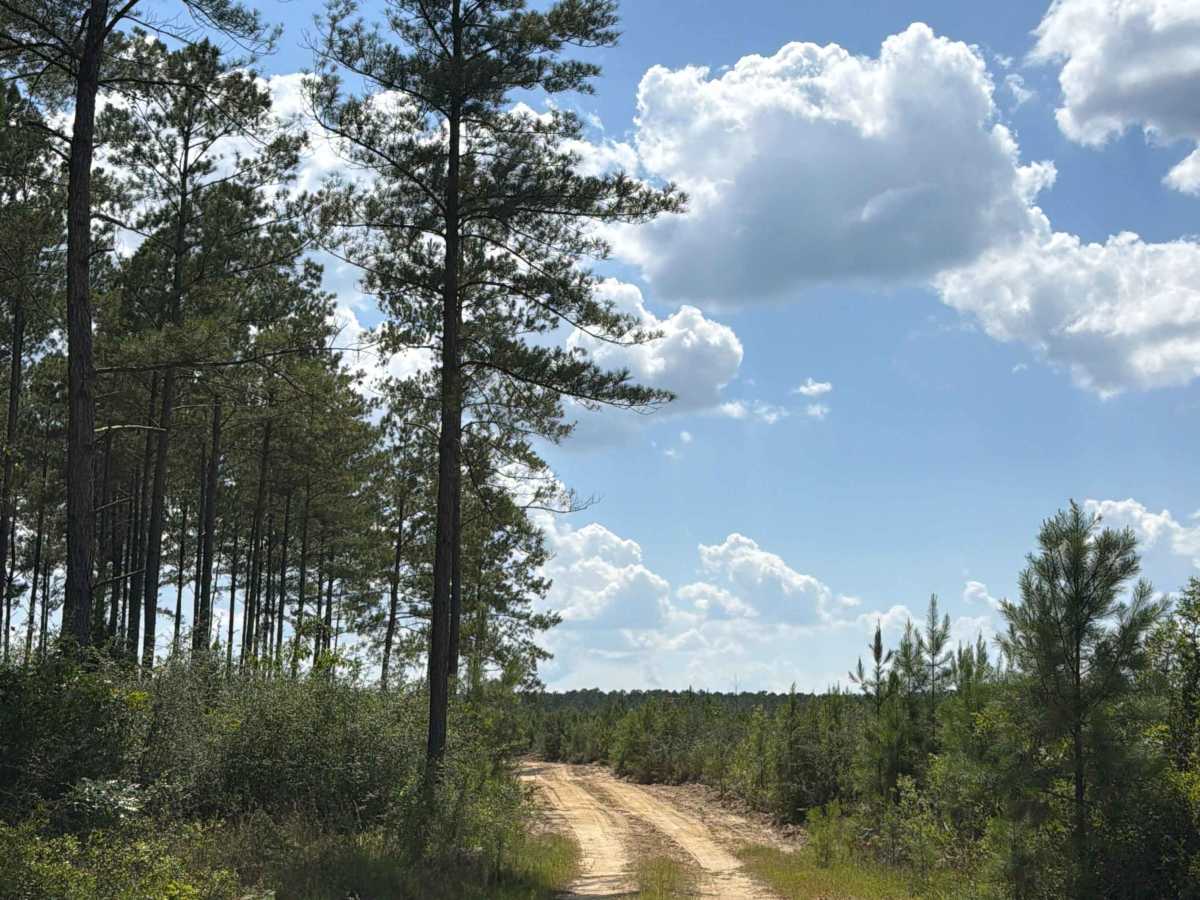 FS F16 trail photo