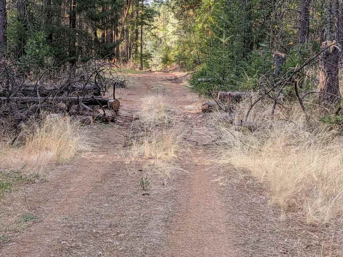 Green Gulch Road - FS 30N74  photo 4