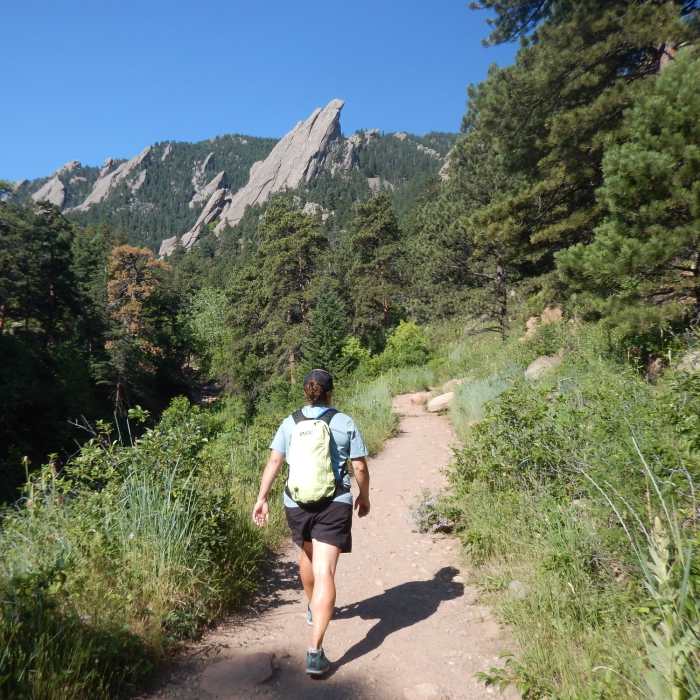 Near Royal Arch Trail