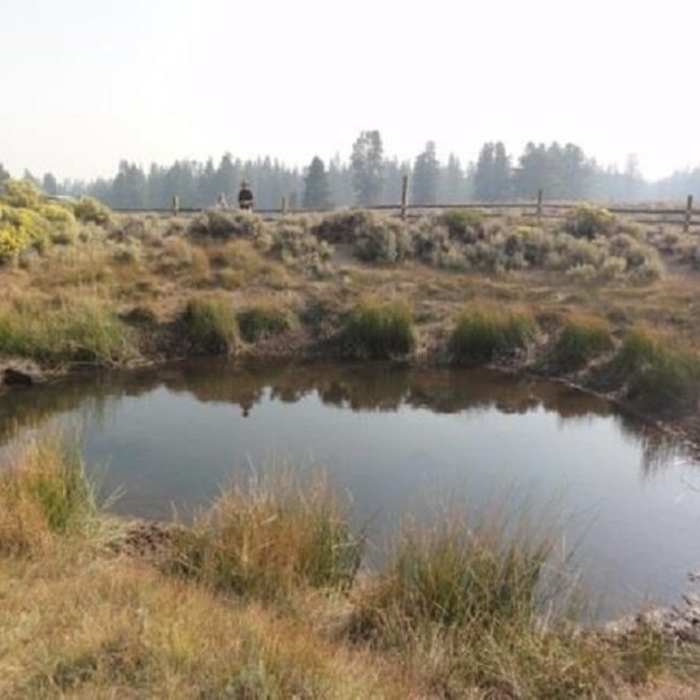 Near Oregon Desert Trail (Seg. 1): Badlands to Sand Spring