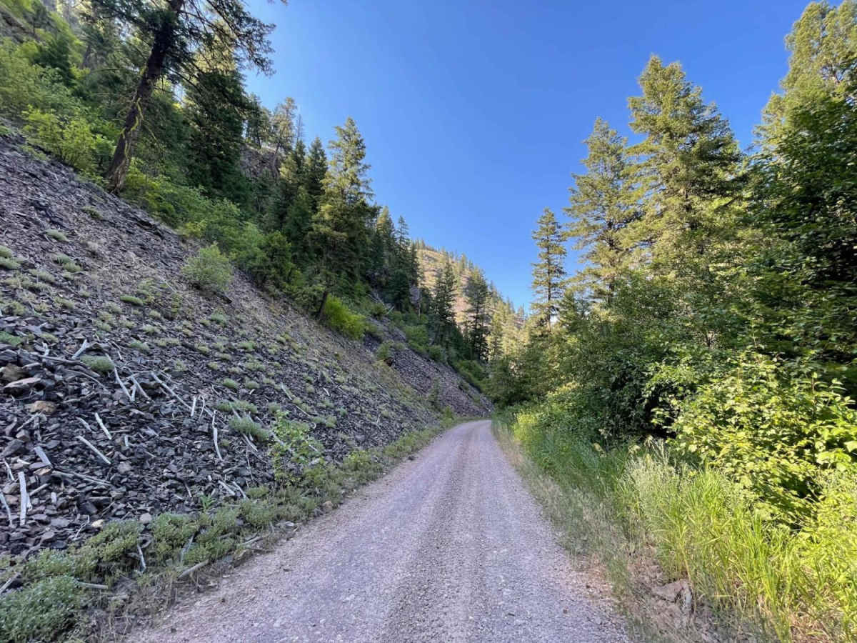 Schwartz Creek trail photo