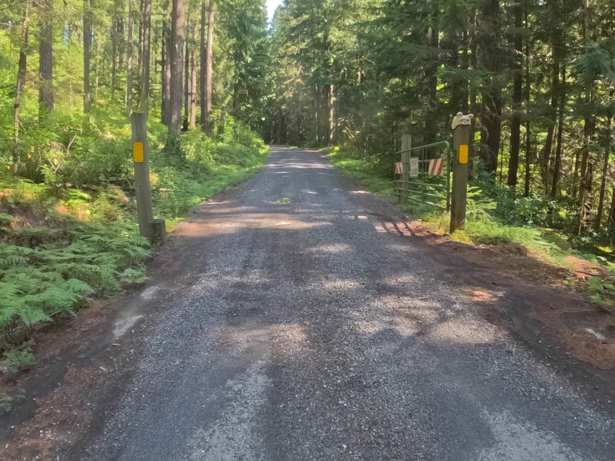 Marion Creek Road - FS 2255-000 photo 3