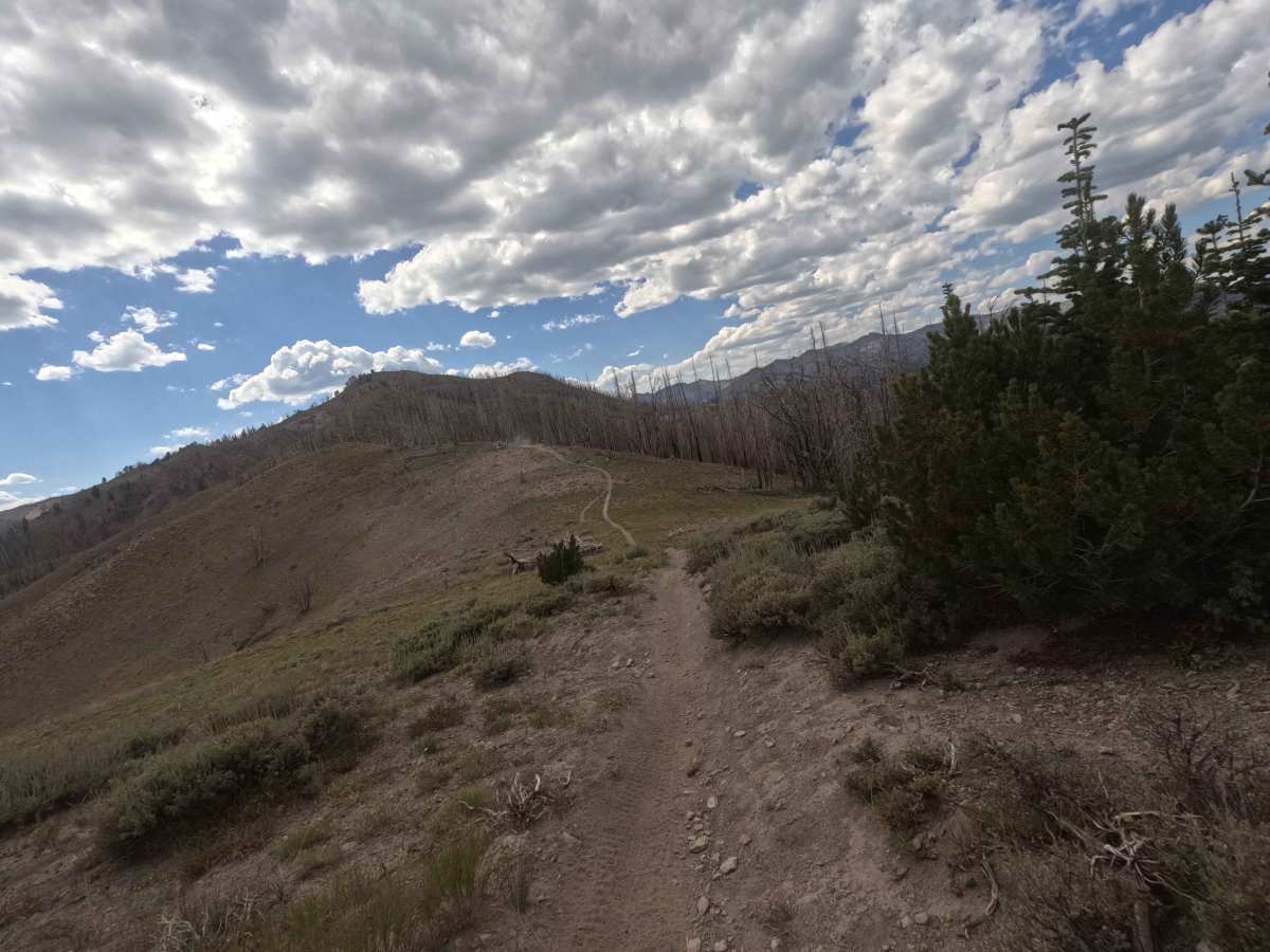Osberg Ridgeline Trail - FS 7147 photo 2