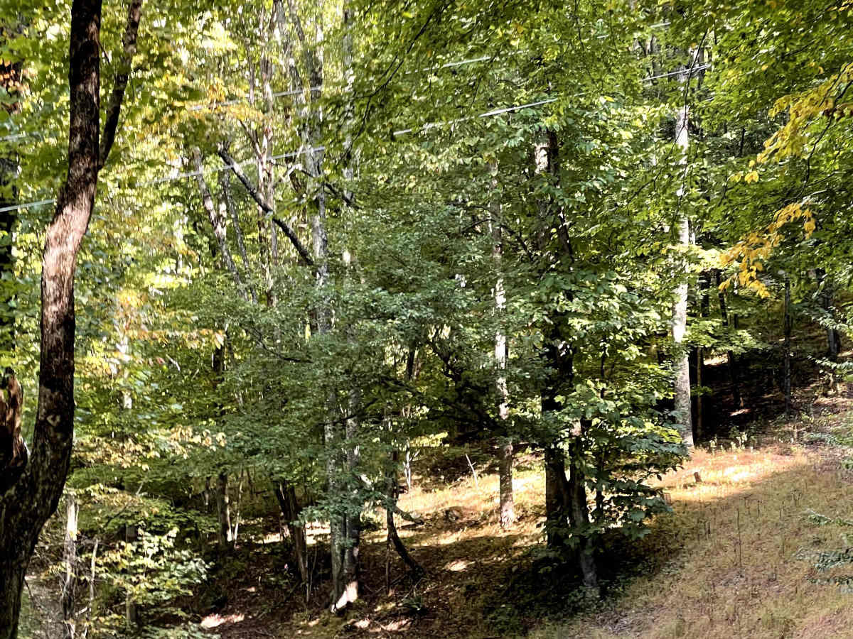 Shulls Mill photo 2