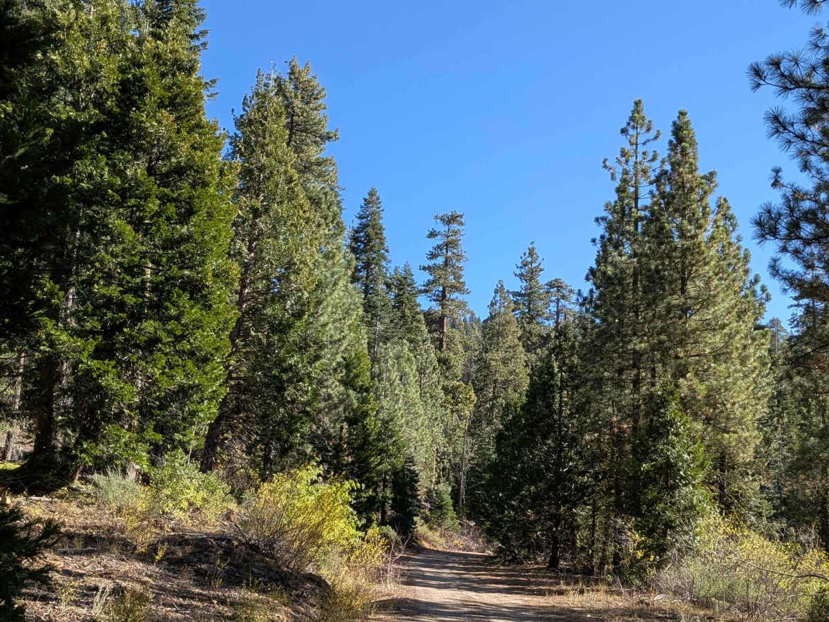 Mill Creek Road - FS5N21 photo 6