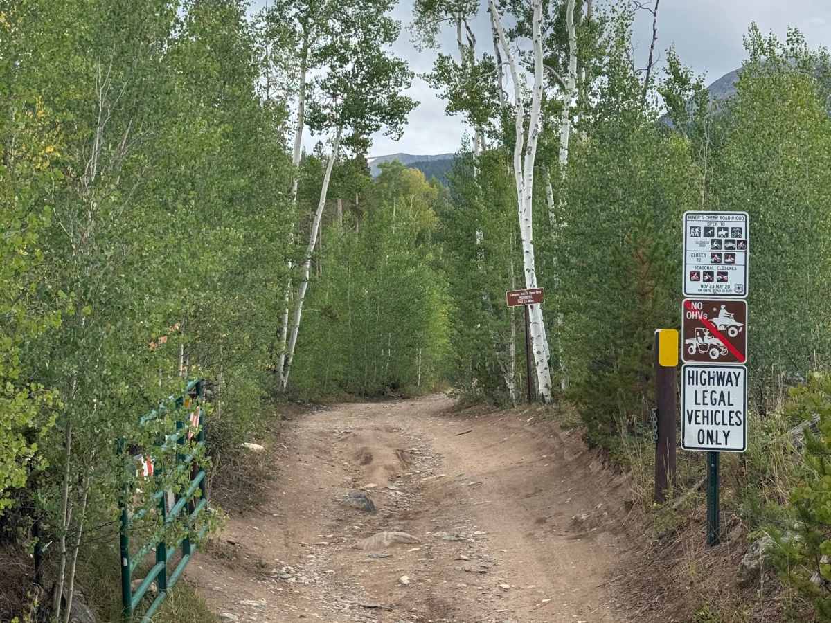 Miners Creek Road photo 4