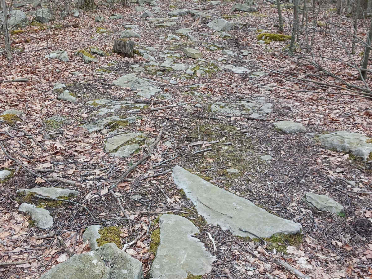 OHV 54 - Rock Run Recreation Area photo 3