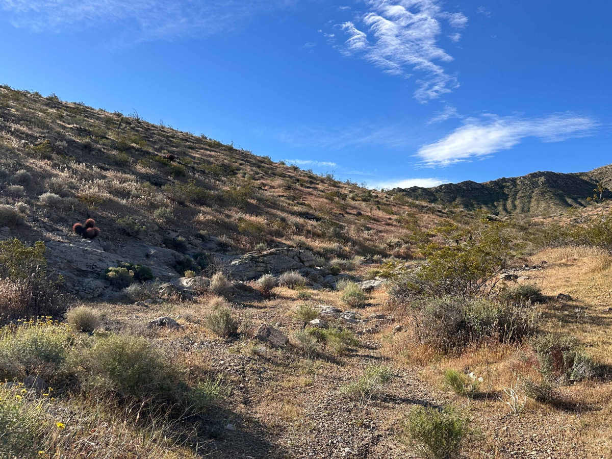 Dry Wash Trail photo 6